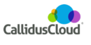 CallidusCloud Software Tool