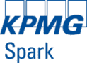 KPMG Spark Software Tool