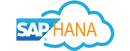 SAP HANA Cloud