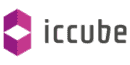 icCube Software Tool