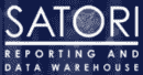 Satori Reporting Software Tool