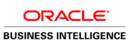 Oracle Business Intelligence Cloud Services Software Tool