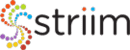 Striim Software Tool