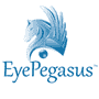 EyePegasus Software Tool