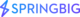 springbig product logo