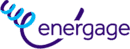 Energage Software Tool