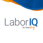 LaborIQ Software Tool