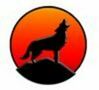 Coyote Analytics Software Tool